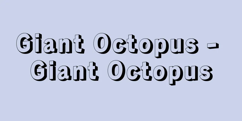 Giant Octopus - Giant Octopus