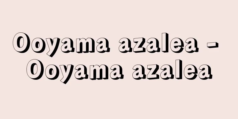 Ooyama azalea - Ooyama azalea