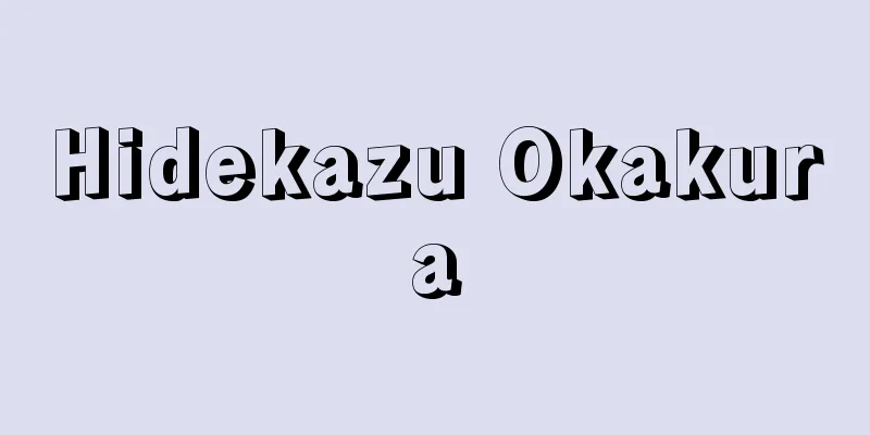 Hidekazu Okakura