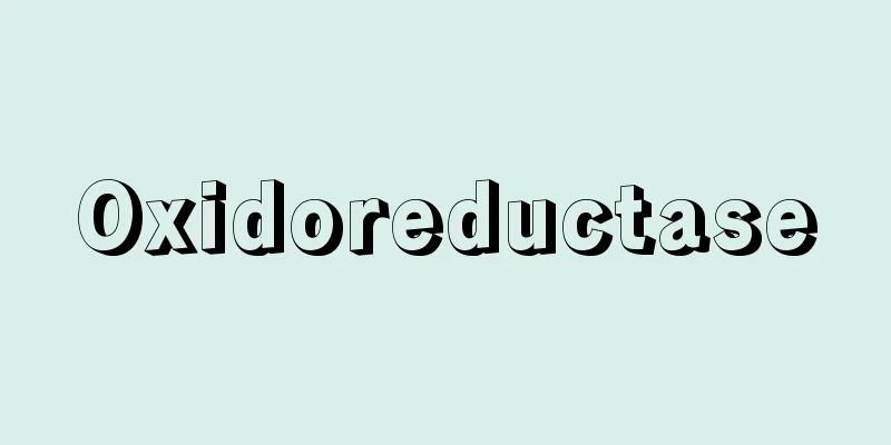 Oxidoreductase