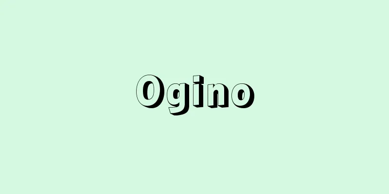 Ogino