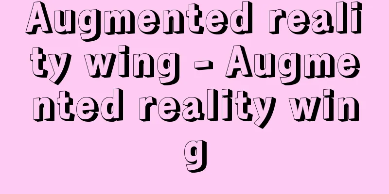 Augmented reality wing - Augmented reality wing