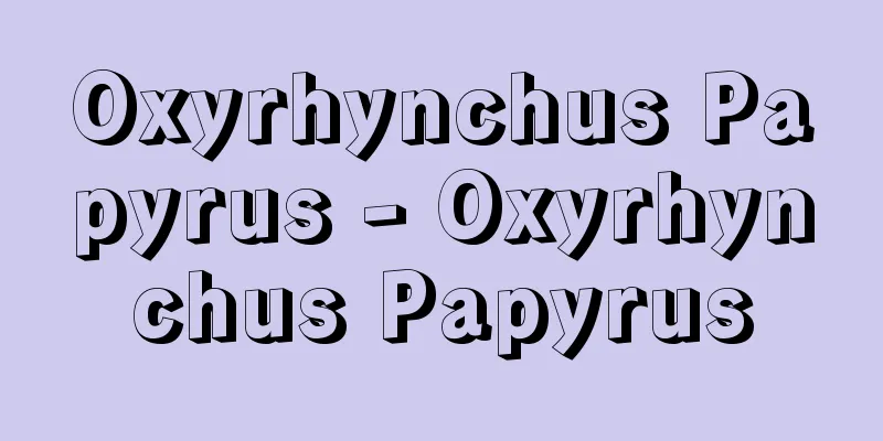 Oxyrhynchus Papyrus - Oxyrhynchus Papyrus