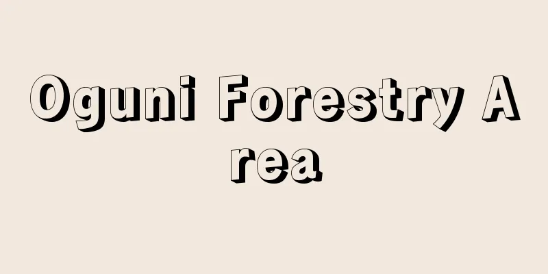 Oguni Forestry Area