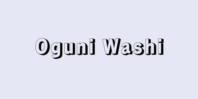 Oguni Washi