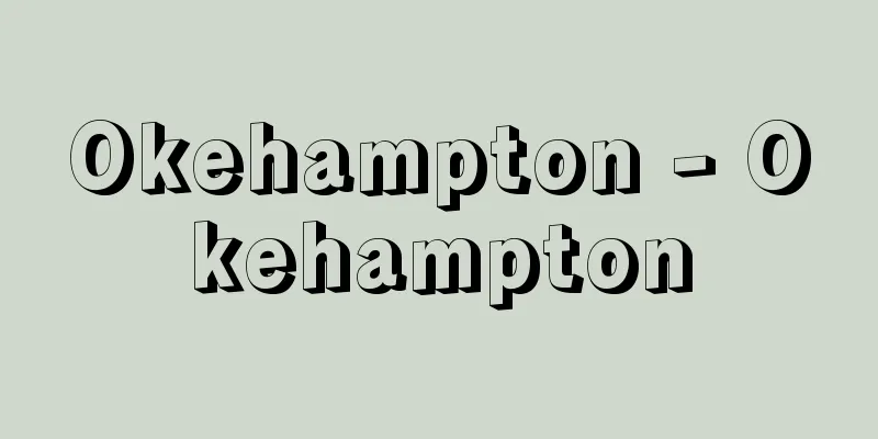 Okehampton - Okehampton