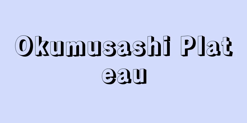 Okumusashi Plateau