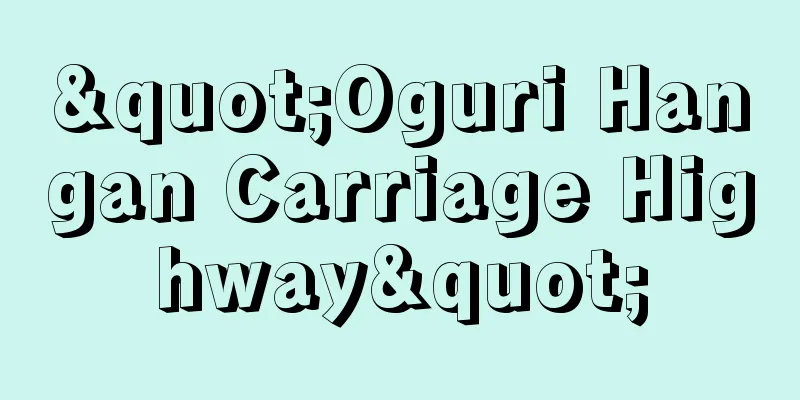 "Oguri Hangan Carriage Highway"