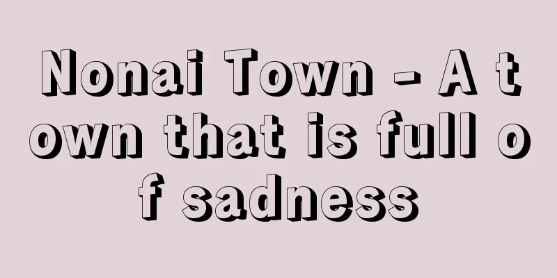 Nonai Town - A town that is full of sadness