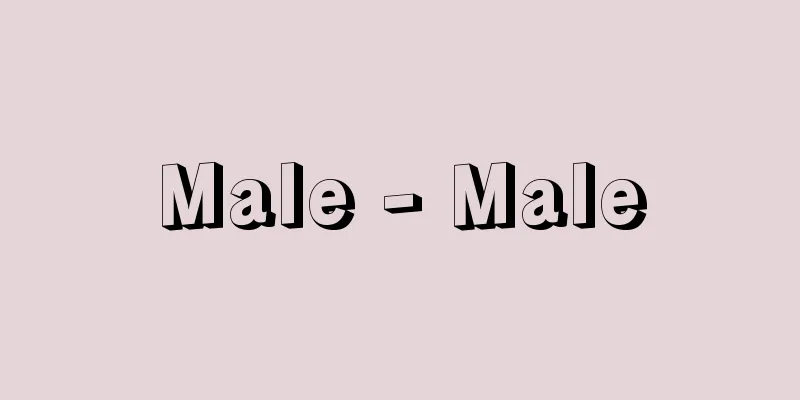 Male - Male