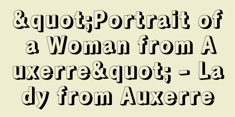 "Portrait of a Woman from Auxerre" - Lady from Auxerre