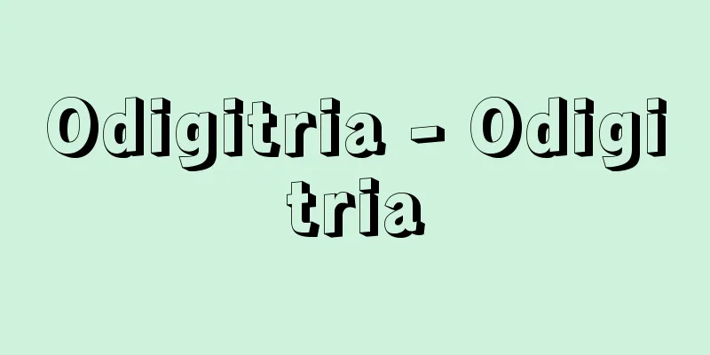 Odigitria - Odigitria