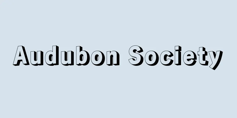 Audubon Society
