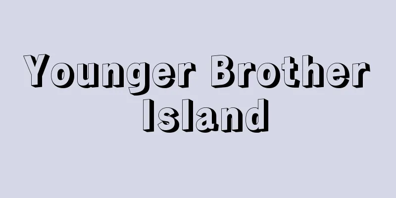 Younger Brother Island