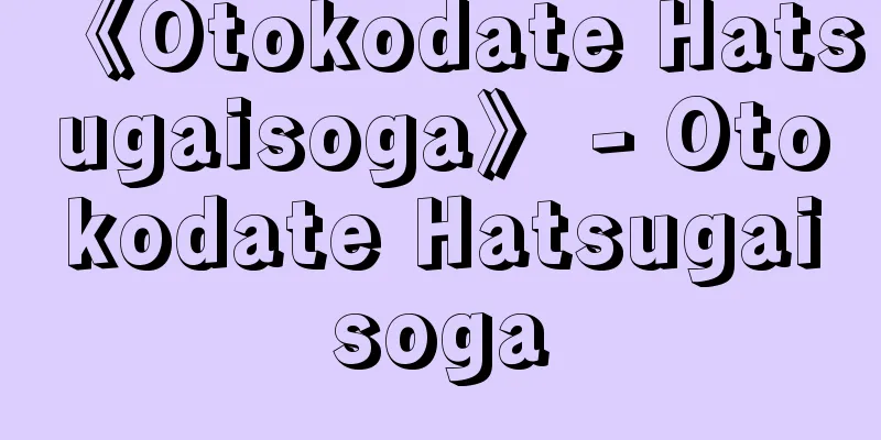 《Otokodate Hatsugaisoga》 - Otokodate Hatsugaisoga