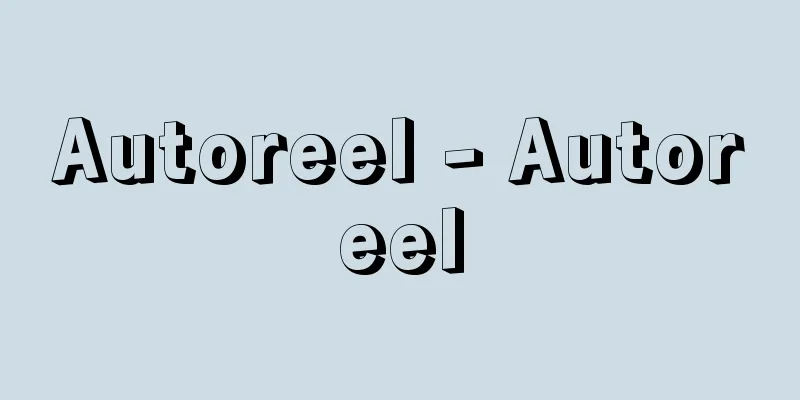 Autoreel - Autoreel