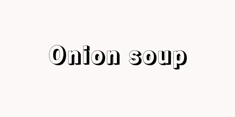 Onion soup
