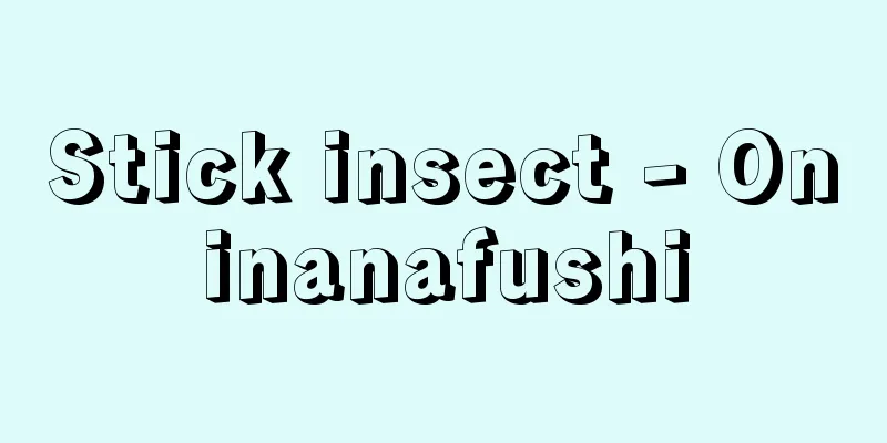 Stick insect - Oninanafushi