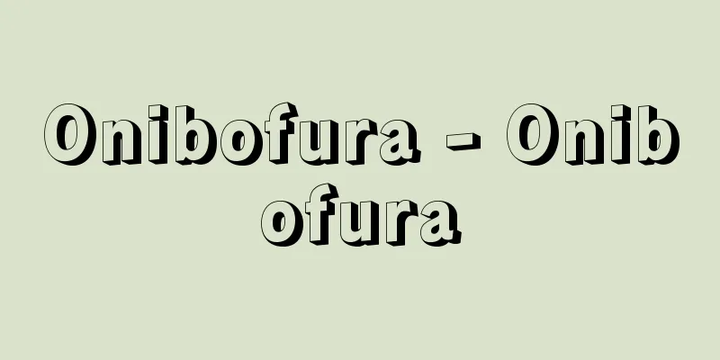 Onibofura - Onibofura