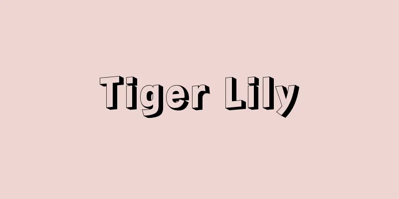 Tiger Lily
