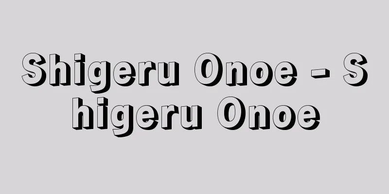 Shigeru Onoe - Shigeru Onoe