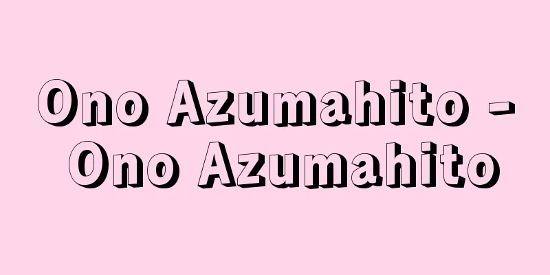 Ono Azumahito - Ono Azumahito