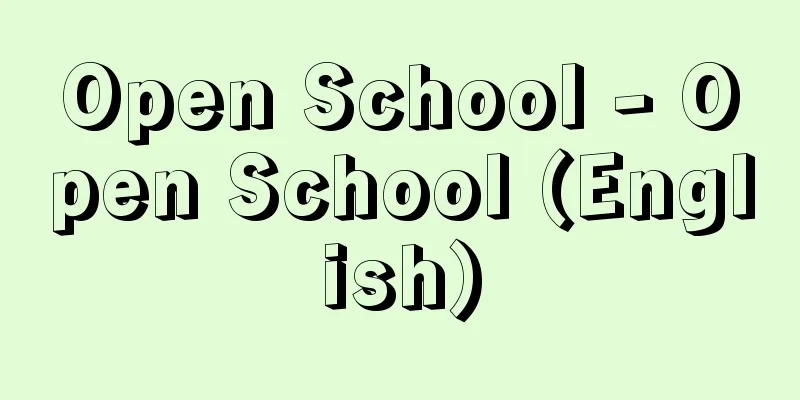 Open School - Open School (English)