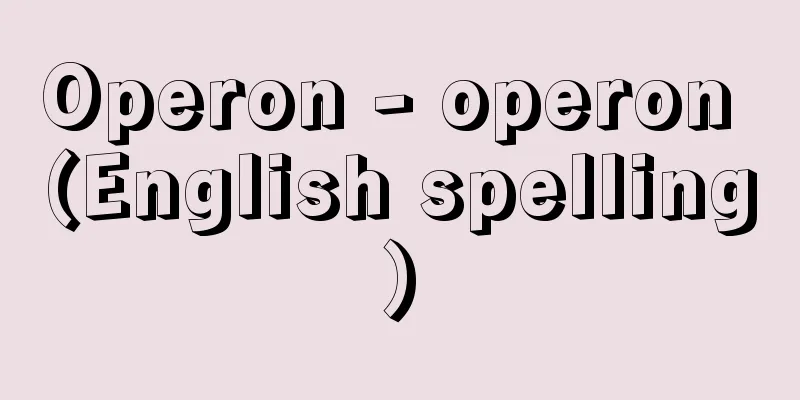 Operon - operon (English spelling)