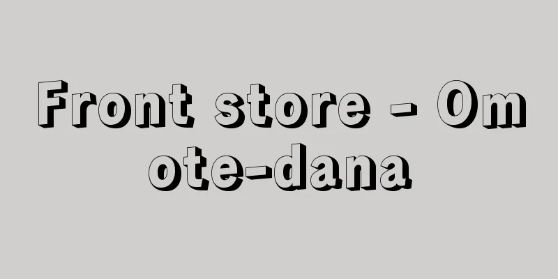 Front store - Omote-dana