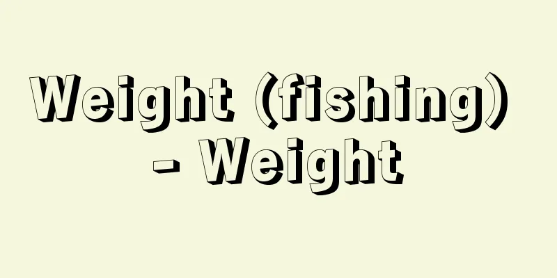 Weight (fishing) - Weight