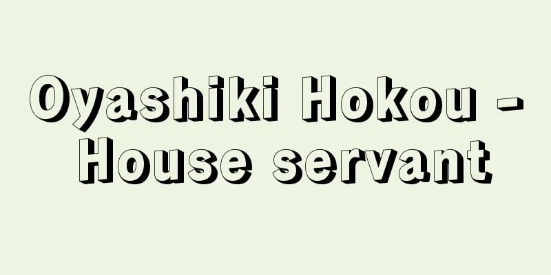 Oyashiki Hokou - House servant