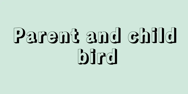 Parent and child bird