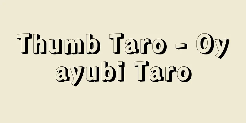 Thumb Taro - Oyayubi Taro