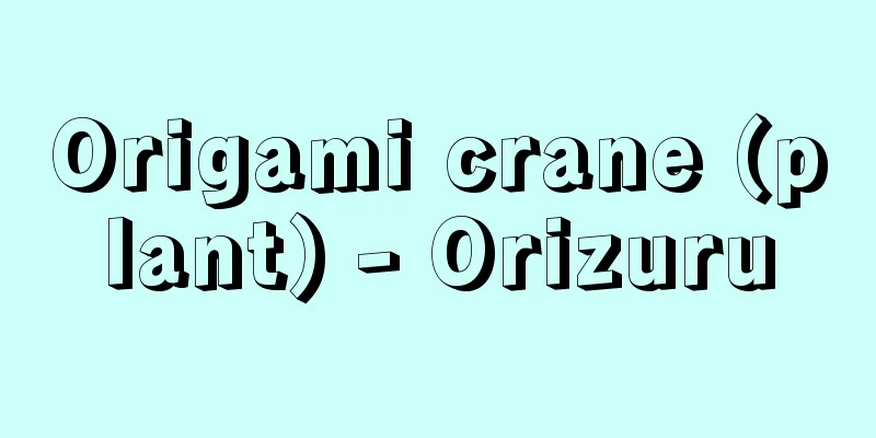 Origami crane (plant) - Orizuru