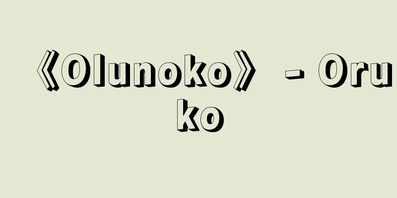 《Olunoko》 - Oruko