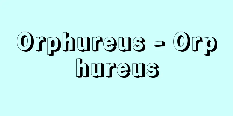 Orphureus - Orphureus