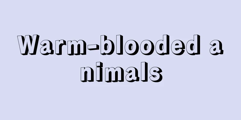Warm-blooded animals
