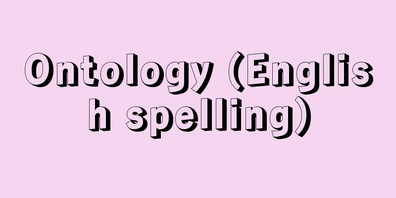 Ontology (English spelling)
