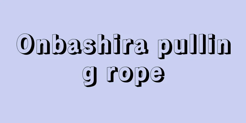 Onbashira pulling rope