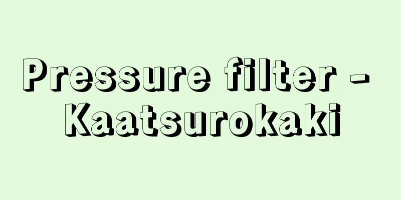 Pressure filter - Kaatsurokaki