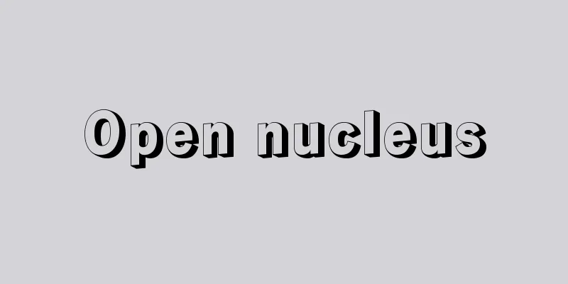 Open nucleus