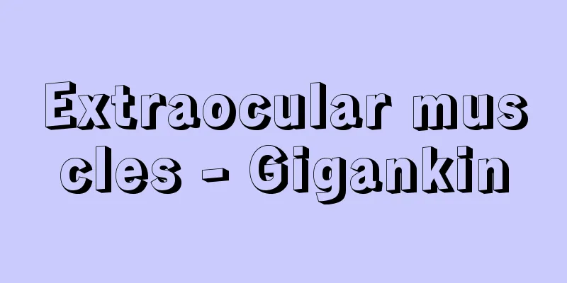 Extraocular muscles - Gigankin