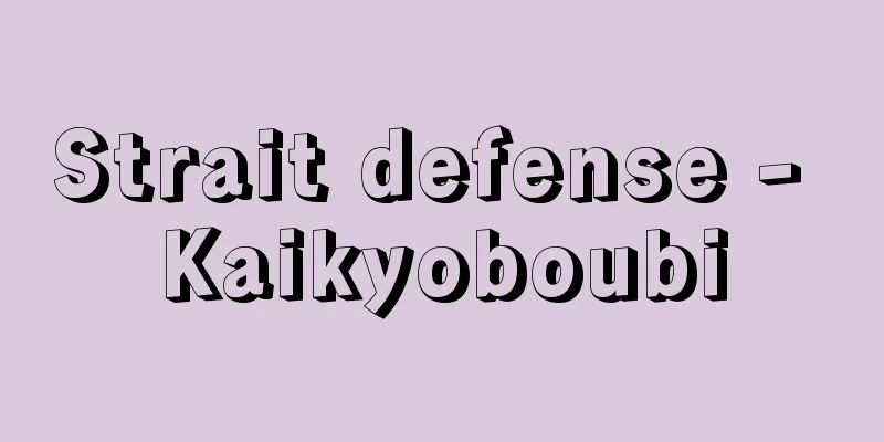 Strait defense - Kaikyoboubi