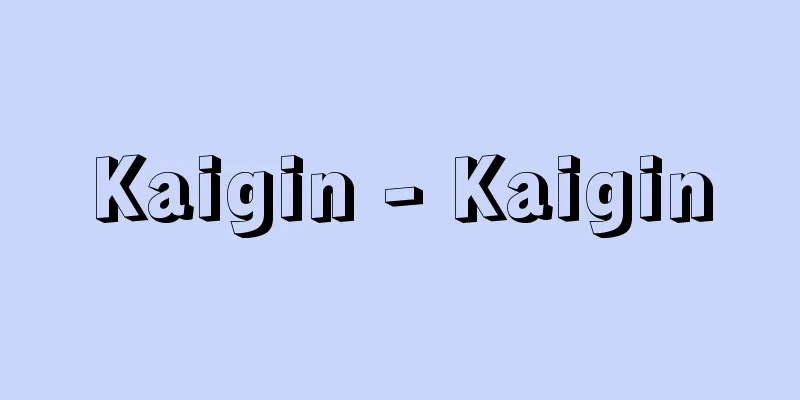 Kaigin - Kaigin
