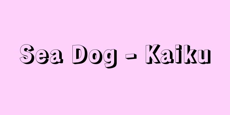 Sea Dog - Kaiku