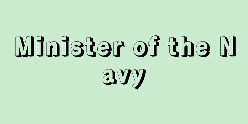 Minister of the Navy