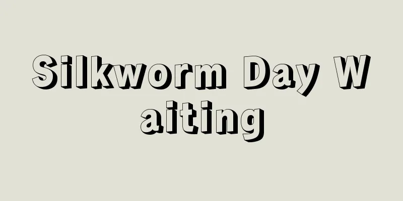 Silkworm Day Waiting