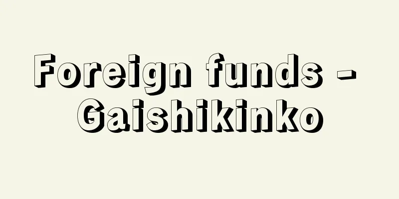 Foreign funds - Gaishikinko