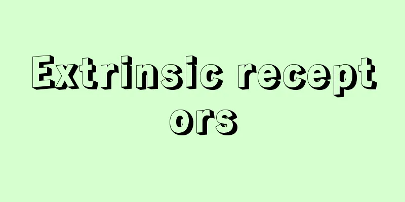 Extrinsic receptors