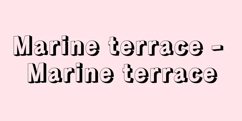Marine terrace - Marine terrace